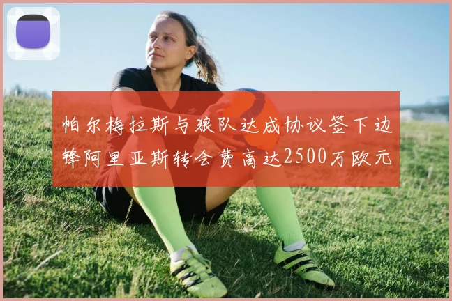 帕尔梅拉斯与狼队达成协议签下边锋阿里亚斯转会费高达2500万欧元