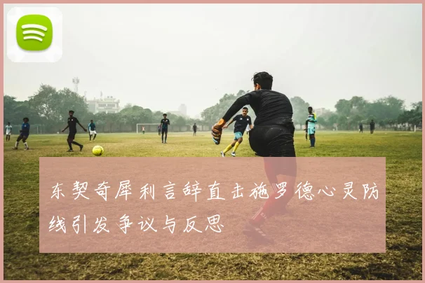 东契奇犀利言辞直击施罗德心灵防线引发争议与反思